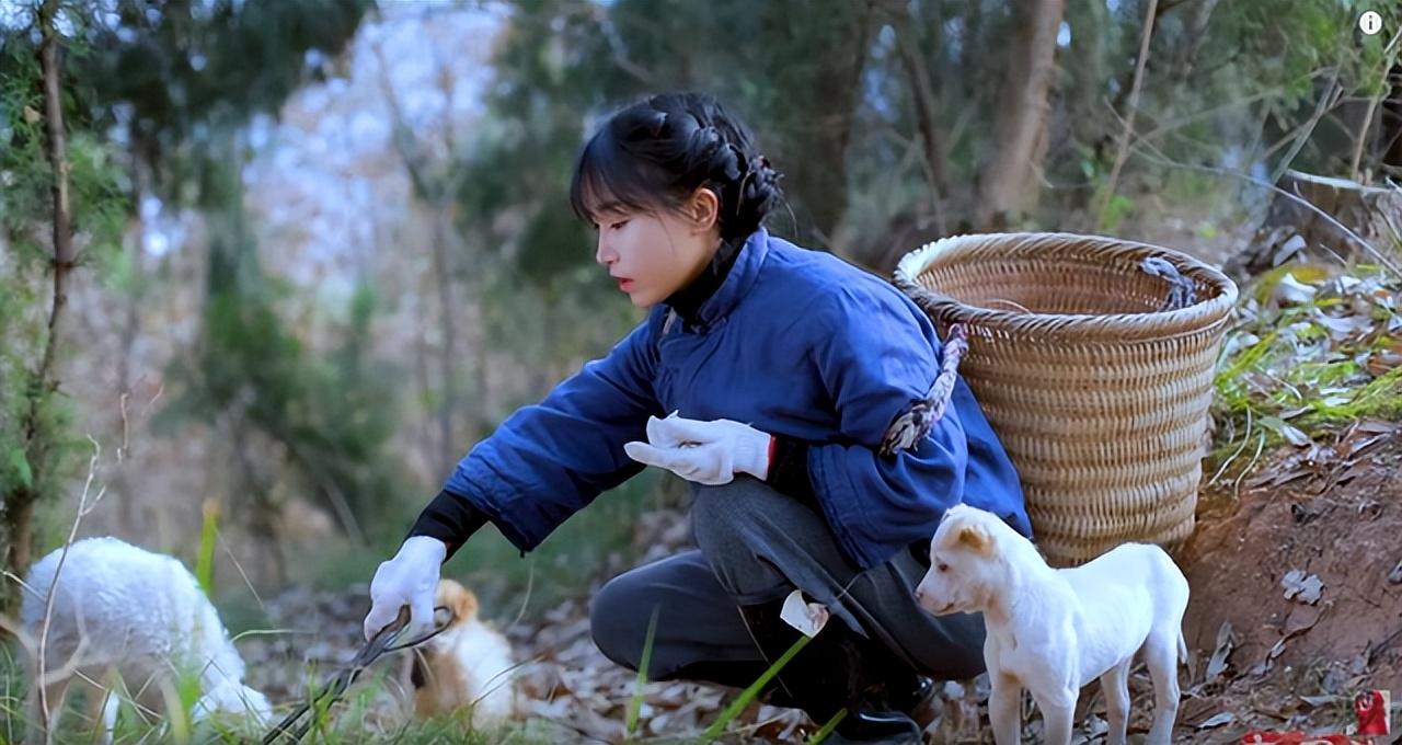 李子柒停更一年仍有收益，她的“消失”，是網紅圈的損失和悲哀(圖13)