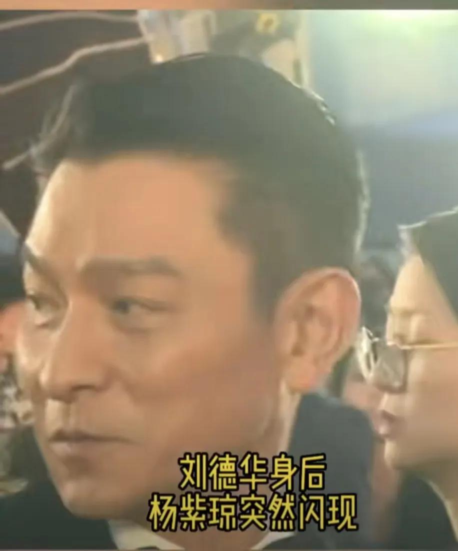 楊紫瓊突然勾肩劉德華，將對方嚇一跳，華哥透露驚喜消息(圖6)