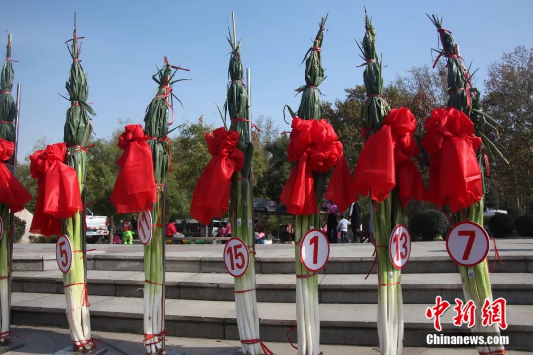 比姚明高一頭！這里的大蔥靠什么猛“長(zhǎng)個(gè)”？(圖2)