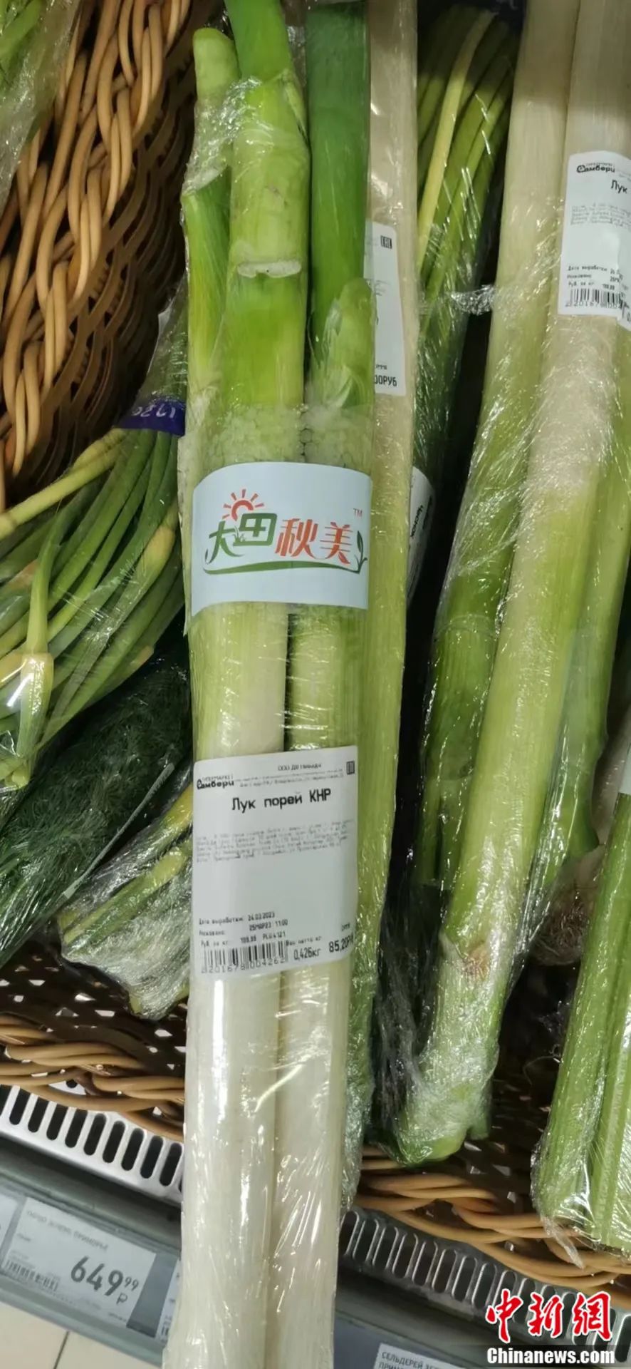 比姚明高一頭！這里的大蔥靠什么猛“長(zhǎng)個(gè)”？(圖3)