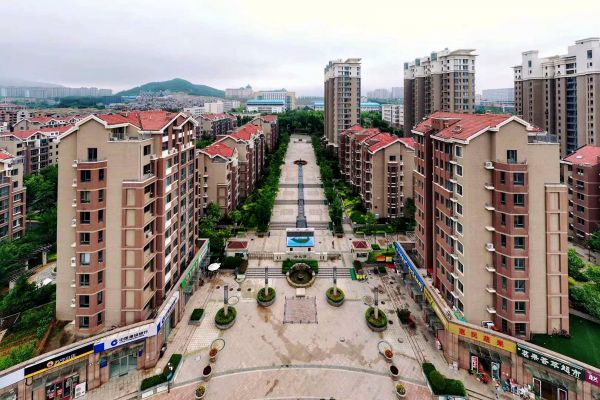 【大國新村：沿著總書記的足跡】山東青島：山海之間的鄉(xiāng)村振興路(圖6)