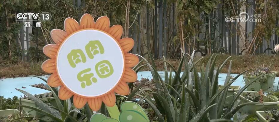用心辦教育 寫好“民生答卷” 托起百姓“穩穩的幸?！?圖3)