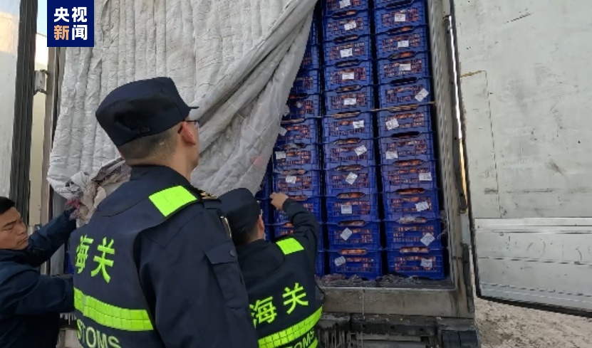 “中國味道”出口熱！新疆霍爾果斯口岸果蔬出口迎今年首個高峰(圖3)