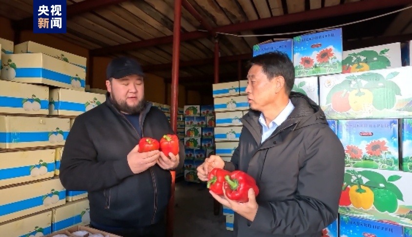 “中國味道”出口熱！新疆霍爾果斯口岸果蔬出口迎今年首個高峰(圖2)