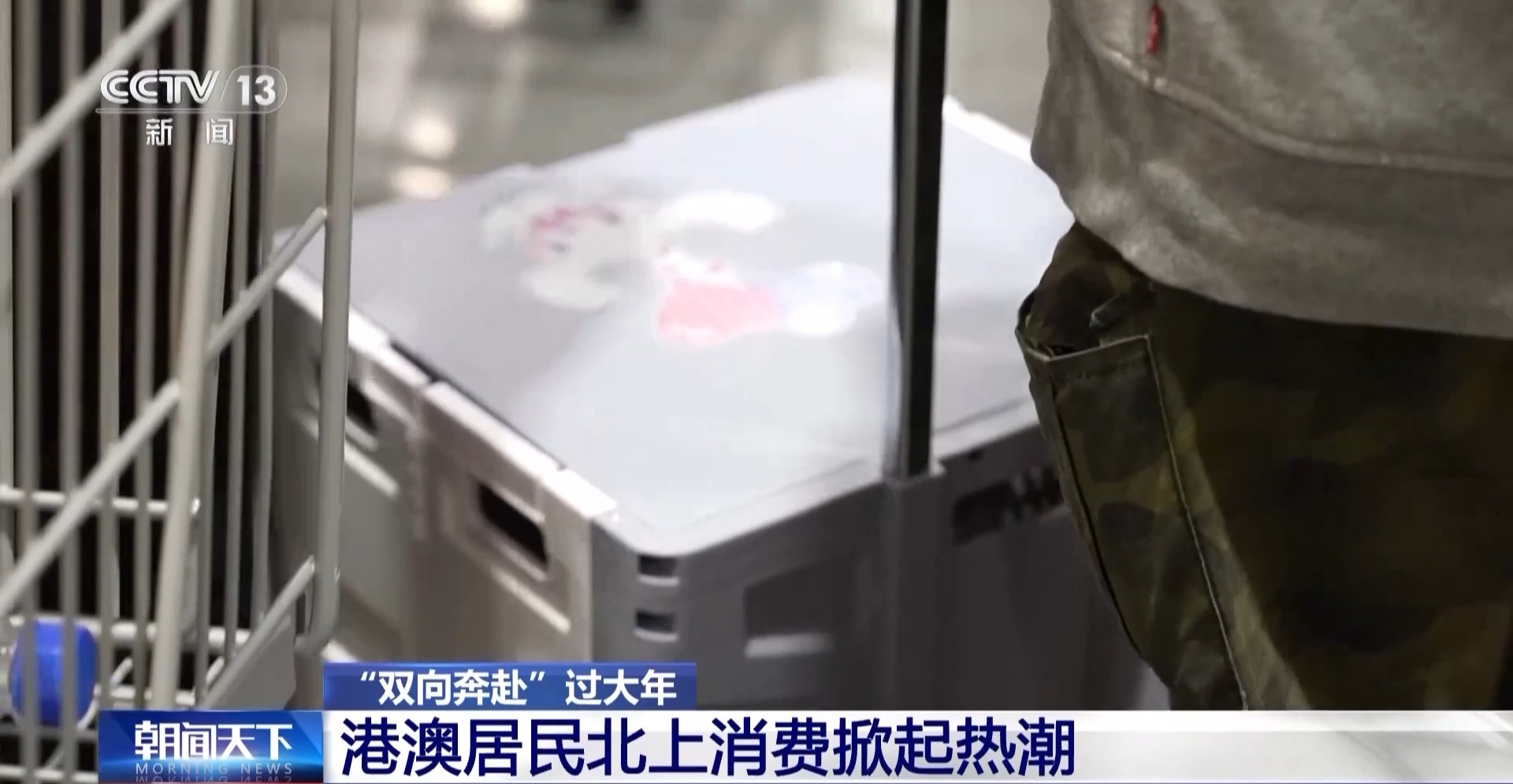 港澳居民北上購年貨 跟記者走進大灣區(qū)“一小時生活圈”(圖2)