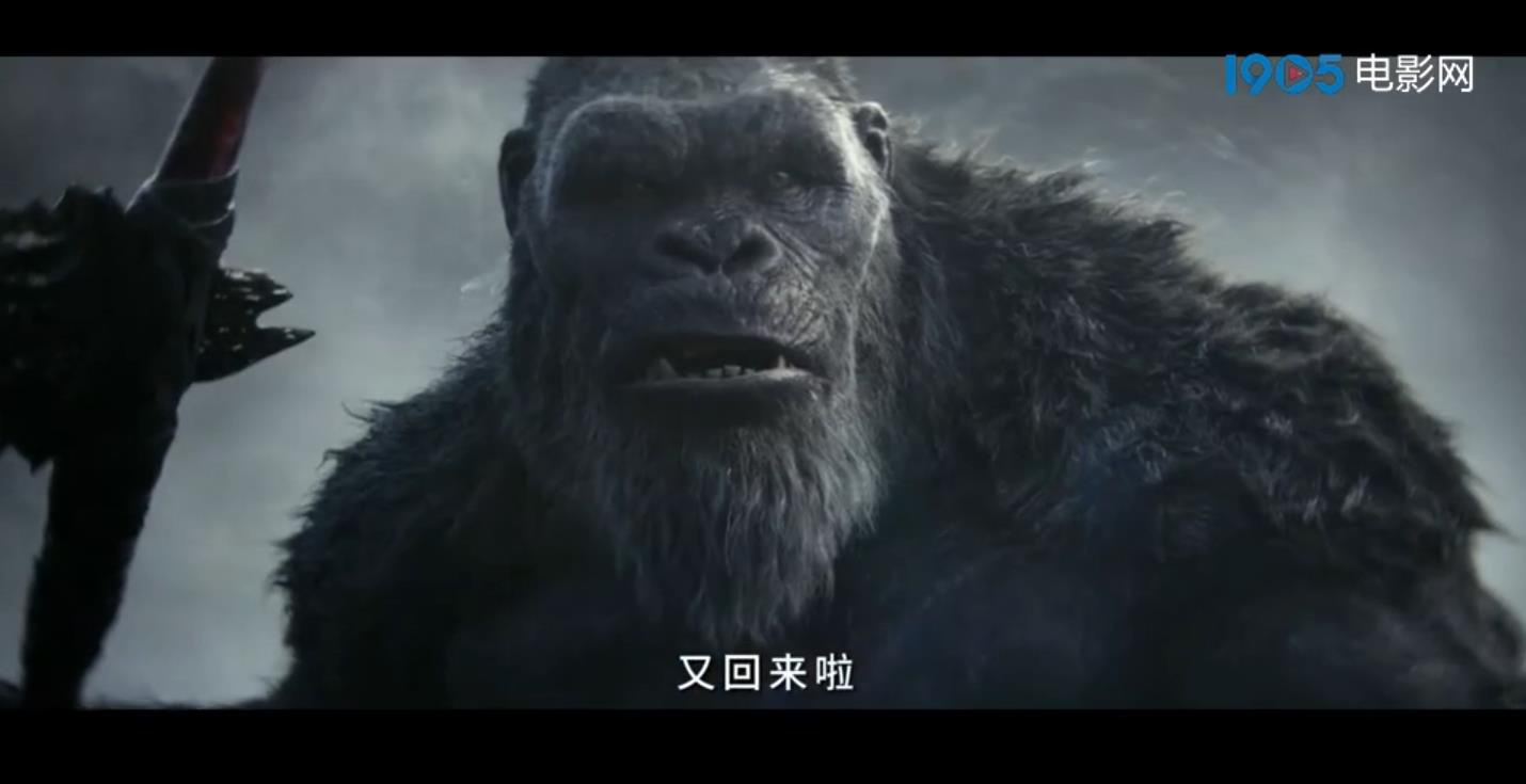 破次元壁了！《熊出沒》聯動《哥斯拉大戰金剛2》(圖2)