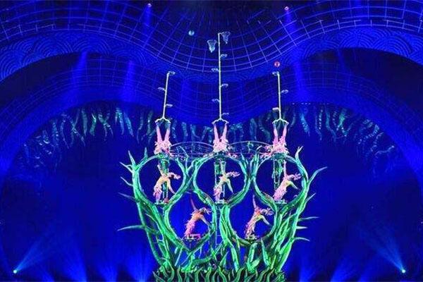 2024水秀國(guó)際大劇院門(mén)票優(yōu)惠政策最新