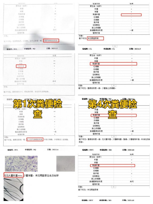 好主人100天喂養計劃成功收官 分階主糧引領精細化養寵趨勢(圖7)
