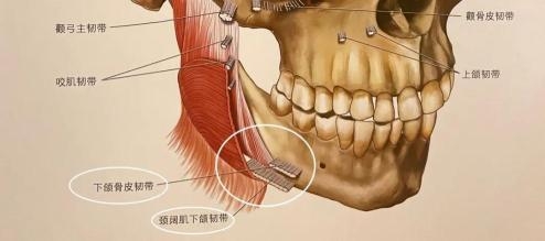 米揚麗格馬平山醫生采用PLLA艾維嵐在口周年輕化方面的成果(圖10)