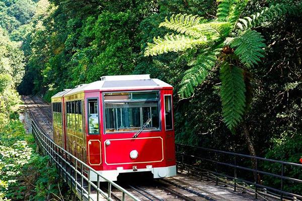 香港太平山纜車(chē)票價(jià)多少錢(qián)2024