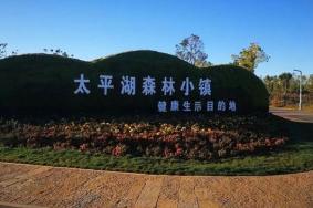 太平湖森林小鎮(zhèn)門(mén)票優(yōu)惠政策2024
