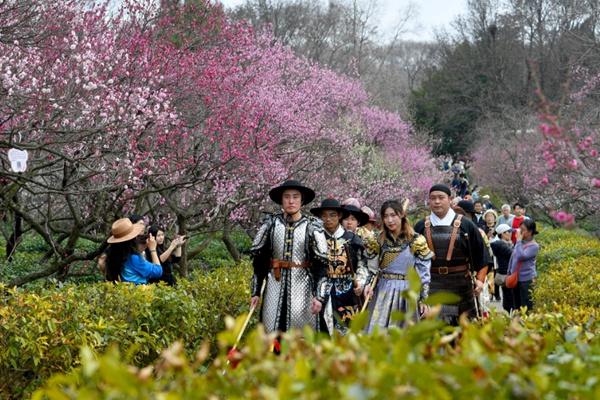 2024中國南京國際梅花節詳細游玩攻略