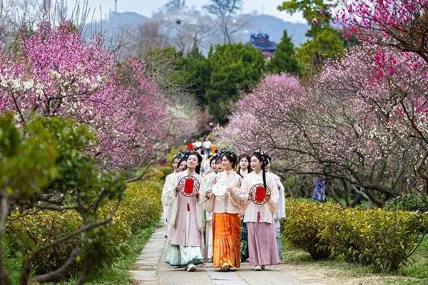 2024中國南京國際梅花節詳細游玩攻略