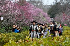 2024中國南京國際梅花節詳細游玩攻略