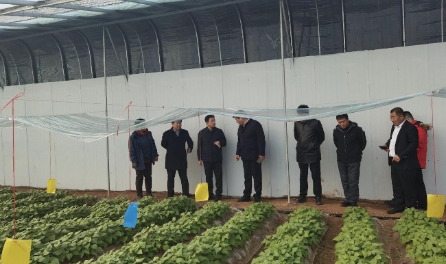 凝心鑄魂擔使命――歡迎雄安新區雄縣領導團到慧谷農業考察指導(圖5)