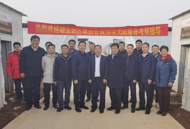 凝心鑄魂擔使命――歡迎雄安新區雄縣領導團到慧谷農業考察指導(圖4)