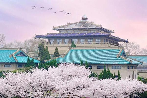 2024年武大櫻花預約入口+時間+門票
