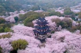 無(wú)錫春天哪里好玩