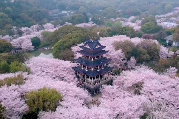 無(wú)錫春天哪里好玩