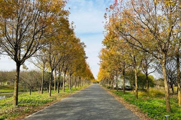 花開海上生態(tài)園最佳觀賞時(shí)間2024