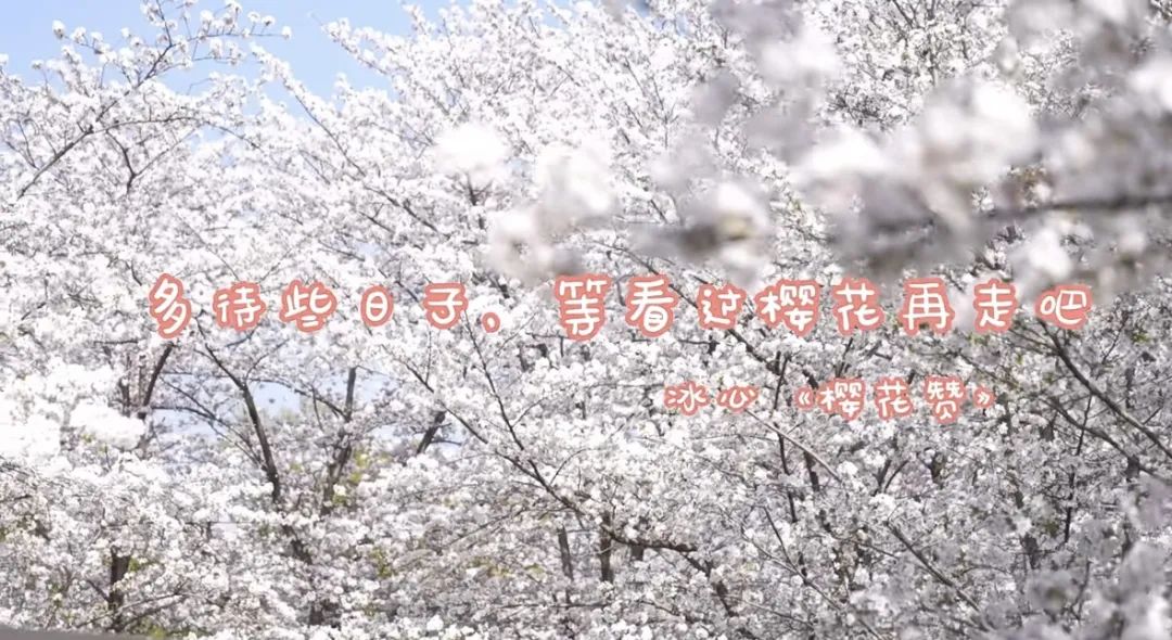 新城悅服務(wù)2023年度成績(jī)單：聚優(yōu)升質(zhì)，幸福進(jìn)化