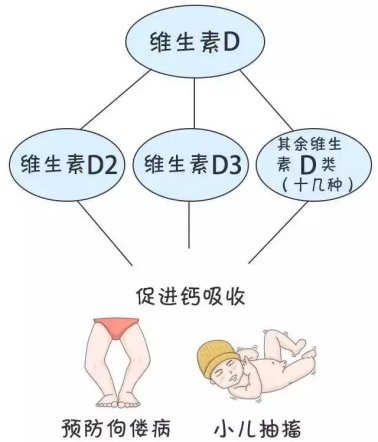 警惕“無效補(bǔ)鈣”：液體鈣成補(bǔ)鈣黃金搭檔(圖4)