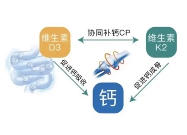 警惕“無效補(bǔ)鈣”：液體鈣成補(bǔ)鈣黃金搭檔(圖5)