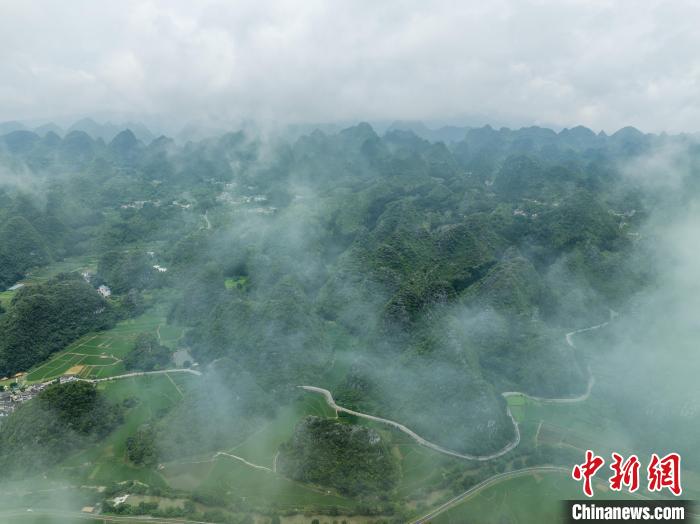 貴州興義:夏日萬峰林風景美如畫 貴州興義:夏日萬峰林風景美如畫(圖1)