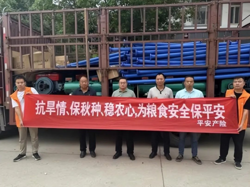 南澇北旱態(tài)勢持續(xù)，平安產(chǎn)險多措并舉做好防汛抗旱工作(圖7)