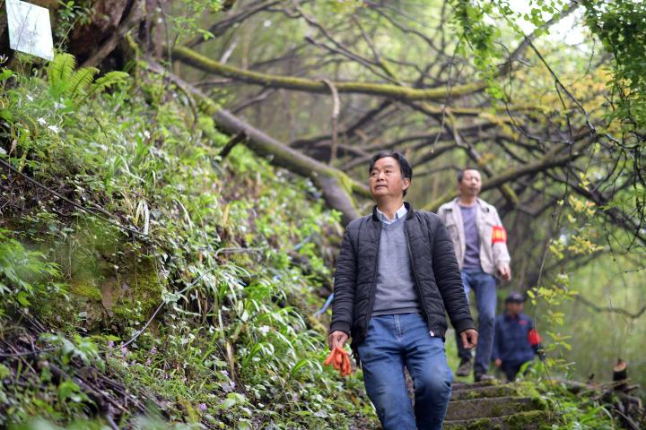 中國加快建設(shè)自然保護地體系守護珍稀動植物