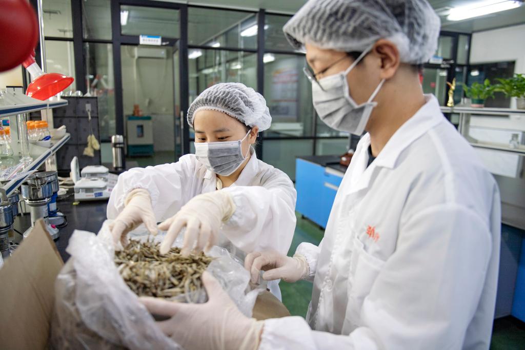 新華全媒+丨貿易規模有突破 促穩提質有支撐――透視我國外貿進出口半年報