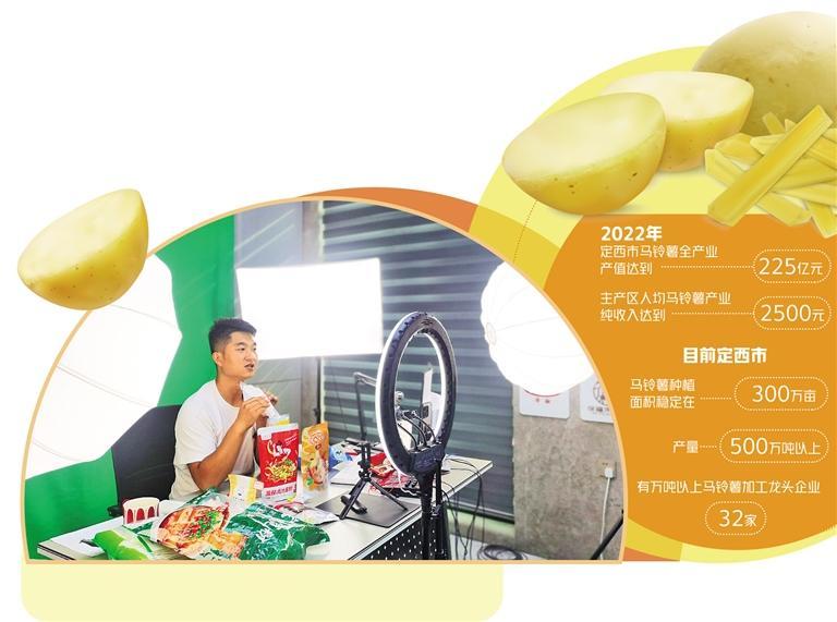 甘肅定西：馬鈴薯變身“金元寶”