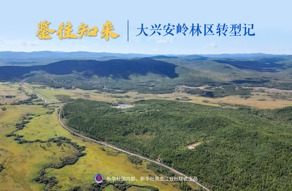 鑒往知來丨大興安嶺林區轉型記
