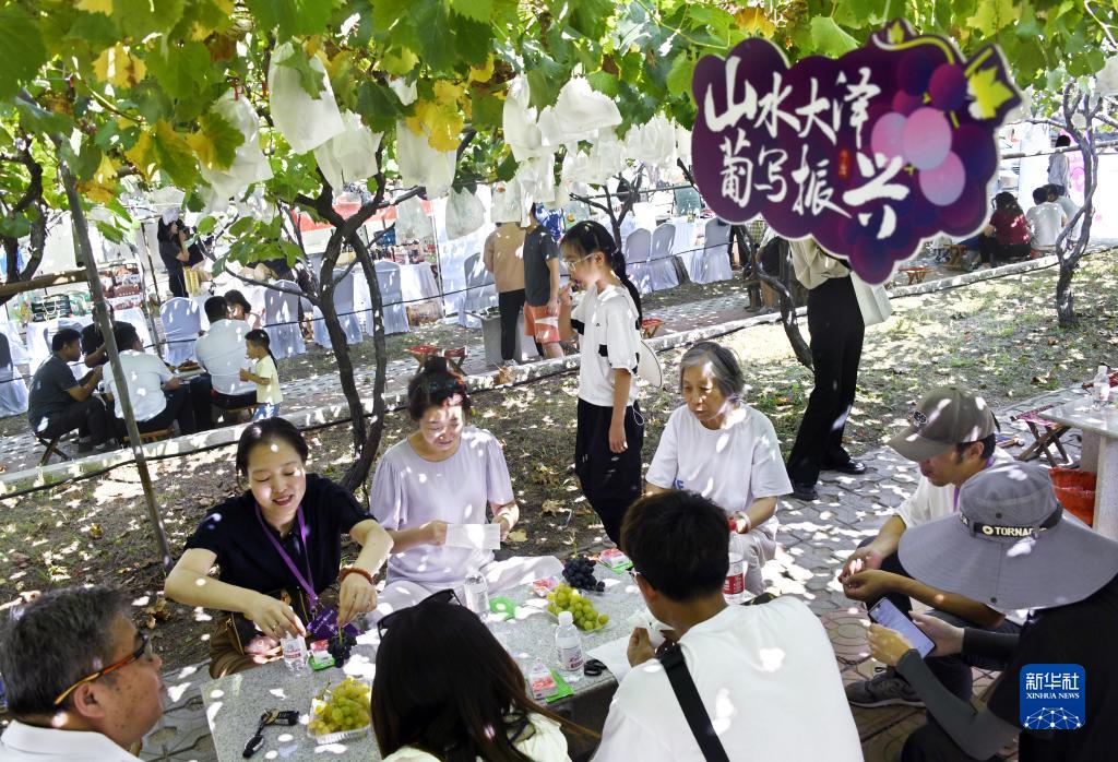 山東平度：葡萄成熟引客來(lái)
