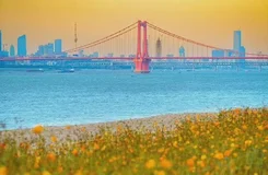 知音號(hào)2022春節(jié)演出時(shí)間