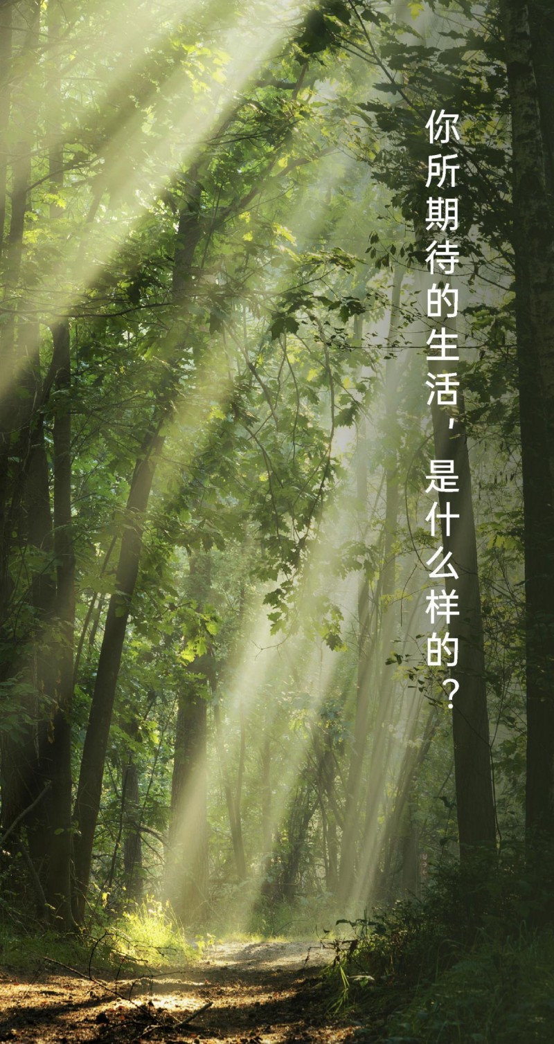 煥新啟程，探索無界?醫護之家品牌形象全面升級
